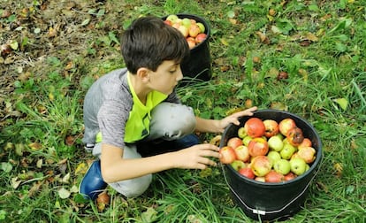 Manuel, de 10 años, padece hemofilia A grave.