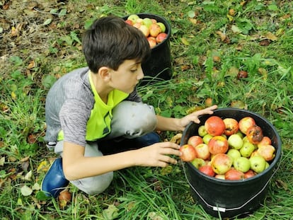 Manuel, de 10 años, padece hemofilia A grave.