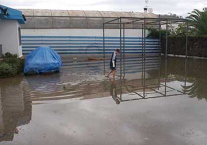 Un jardín de una urbanización de Riba-roja, ayer, anegado por el agua.