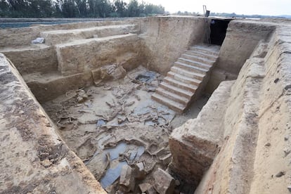 Animales sacrificados en un ritual celebrado hace 2.500 años en un edificio hallado en Guareña (Badajoz). La escalinata de la derecha convierte esta construcción tartésica en algo insólito en el Mediterráneo occidental.