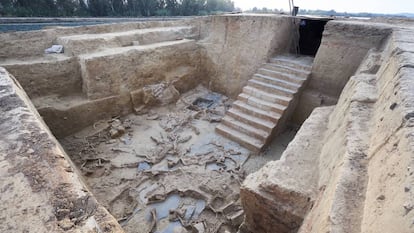 Animals sacrificed in a ritual that took place 2,500 years ago in a building unearthed in Guareña, Badajoz. The staircase makes this Tartessian excavation unique in this part of the world. 