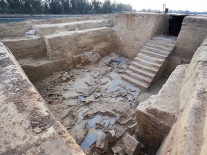 Animales sacrificados en un ritual celebrado hace 2.500 años en un edificio hallado en Guareña (Badajoz). La escalinata de la derecha convierte esta construcción tartésica en algo insólito en el Mediterráneo occidental.