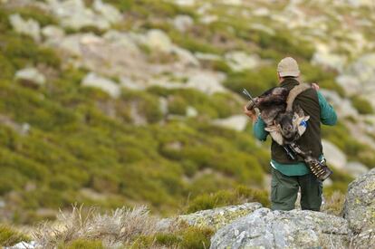 Un cazador porta una cabeza de cabra montés en La Pedriza.