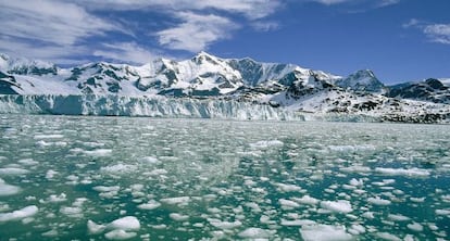 El glaciar de Nordenskjöld con el monte Paget al fondo.