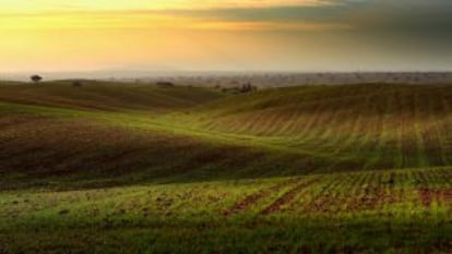 Campos de cultivo en la región portuguesa.