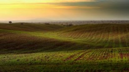 Campos de cultivo en la región portuguesa.