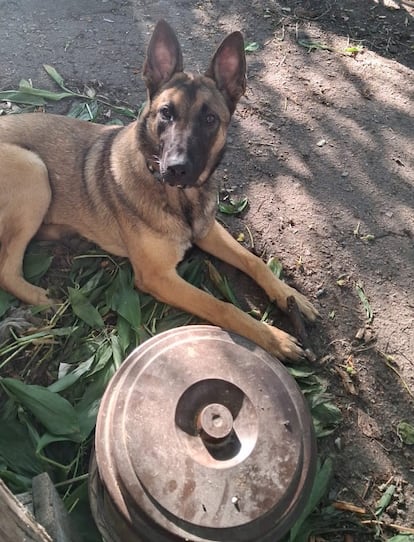 Josy, con una mina antitanque en la provincia de Donetsk