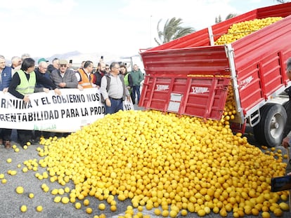 Agricultores y ganaderos sostienen pancartas frente a un centenar de limones en el suelo en una manifestación en Alicante, este viernes.