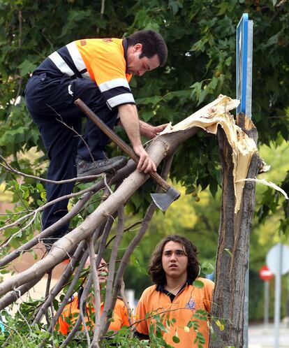 Técnicos de Protección Civil cortan el tronco de un árbol caído para evitar posibles desprendimientos. El domingo por la noche, alrededor de 60 vecinos de Aranjuez se ofrecieron voluntarios para ayudar en las tareas de acondicionamiento del municipio a las órdenes de Protección Civil. "Les dieron chalecos. Algunos trajeron tractores y camiones para poder apartar las ramas que bloqueabas carreteras", explica la alcaldesa.