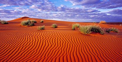 Así se conoce al desierto de Simpson: 'el velódromo de Satán'. Y es que acoge una brutal prueba de bicicleta de montaña (Simpson Desert Challenge) en pleno 'outback' australiano: 10 etapas y 560 kilómetros trufados de dunas, lagos salados y espejismos.