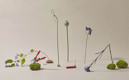 Hasta el 21 de Febrero, el jardín del hotel Only You Hotel Atocha, intervenido por Madrid Flower School, será el florido, sugerente escenario para charlas, exposiciones, tiendas pop-up y sesiones de videoarte.
