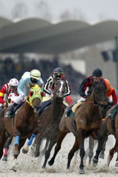 Carrera de caballos en el hip&oacute;dromo de la Zarzuela.