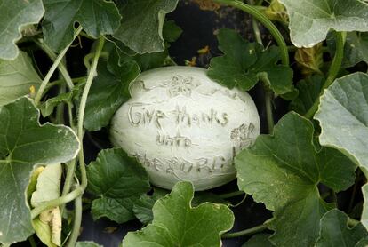 Un mensaje que dice "Da gracias al Señor" está grabado en la piel de un melón en una granja de la familia menonita, en New Holland, Pensilvania (EE UU).