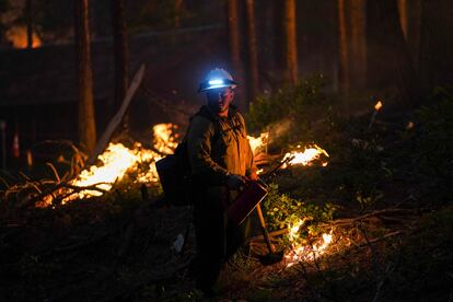 Un bombero utiliza una antorcha de goteo, con la que se realizan quemas preventivas de material orgánico que de otra manera podría alimentar el incendio.
Los departamentos de bomberos de la región central de California trabajan generando pequeños incendios preventivos y controlados para reducir el material que pueda servir de combustible al incendio forestal Washburn.