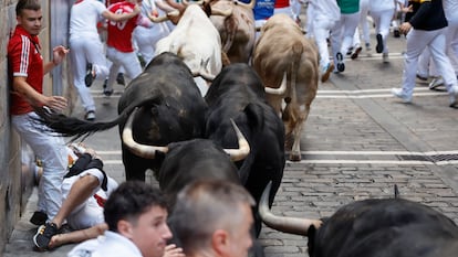 Los toros de la ganadería de Jandilla enfilan la calle Estafeta.