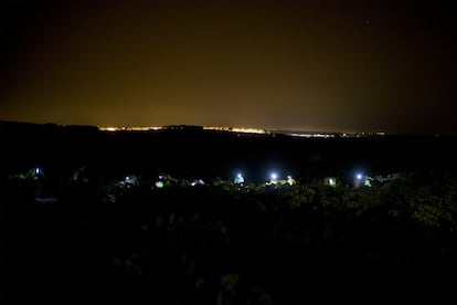 En la finca El Corregidor, de las bodegas jerezanas Luis Pérez, el trabajo se inicia a las 12 de la noche.