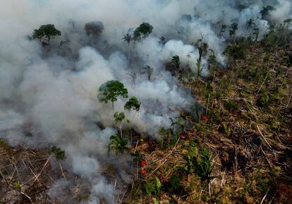 Un incendio forestal en el municipio de Lábrea, en Amazonas, Brasil, el 17 de septiembre de 2022.