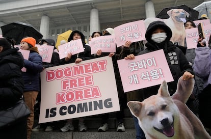 Activistas por los derechos de los animales asisten a una manifestación contra el consumo de carne de perro en Corea.