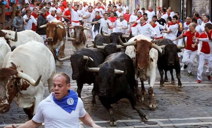 Los toros de 'Jarandilla' en el cuarto encierro de los Sanfermines de 2019.