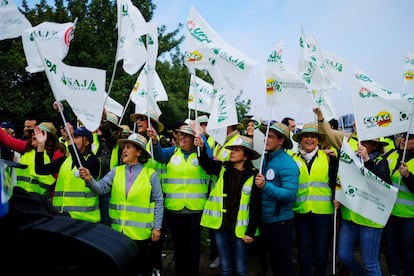 Los agricultores y ganaderos de Sevilla han continuado este martes con las protestas del sector a nivel nacional que comenzaron el 28 de enero y han pedido, en una jornada de movilizaciones unitaria, que el Gobierno acometa más reformas que la ley de la cadena alimentaria anunciada para este martes.