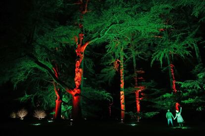 Visitantes observan la iluminación de la 'Navidad encantada' de la Comisión Forestal Arborea, en Westonbirt (Inglaterra).