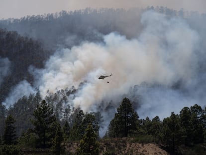 Helicóptero antiincendios en un bosque en llamas en Arico (Tenerife), el pasado mayo.