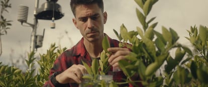 Ferrán Fernández, ingeniero agrónomo y experto en 'agrotech'.