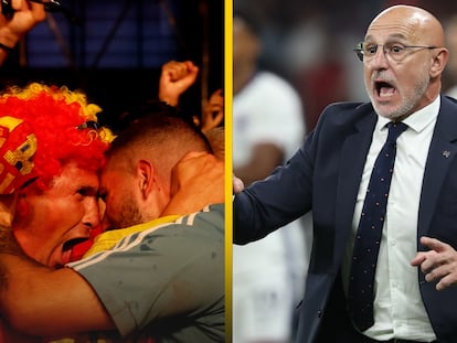 Vídeo | “En España somos así”: la respuesta de Luis de la Fuente a un periodista que le pregunta por las celebraciones de la Eurocopa