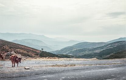 Fotografía desde lo alto de Piornedo Ancares, Lugo.