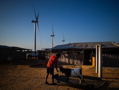 Vista de los campos eólicos del proyecto La Guajira 1 de Isagén en área de la comunidad Taruasaru, La Guajira (Colombia), el 2 de marzo de 2023.