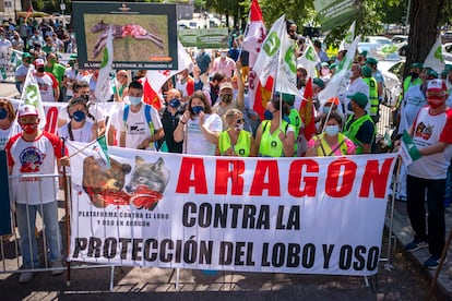 Ganaderos protestan contra el lobo ante al Ministerio para la Transición Ecológica y el Reto Demográfico.