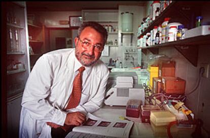 Bernat Soria, el martes pasado, en su laboratorio del Instituto de Bioingeniería de la Universidad Miguel Hernández, en Elche.