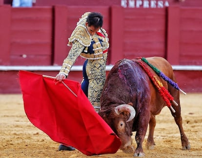 Fortes torea con la mano derecha al toro que le propinó la espeluznante voltereta.