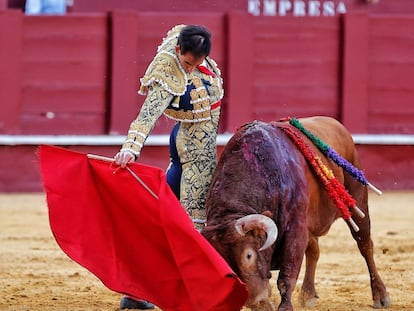 Fortes torea con la mano derecha al toro que le propinó la espeluznante voltereta.