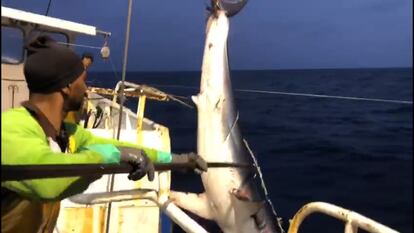 Un pescador del 'Dadimar' trabajando en as costas africanas de Cabo Verde.