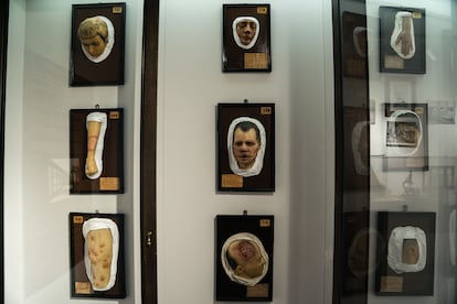 Modelados de cera enmarcados en el Museo Olavide (Madrid)