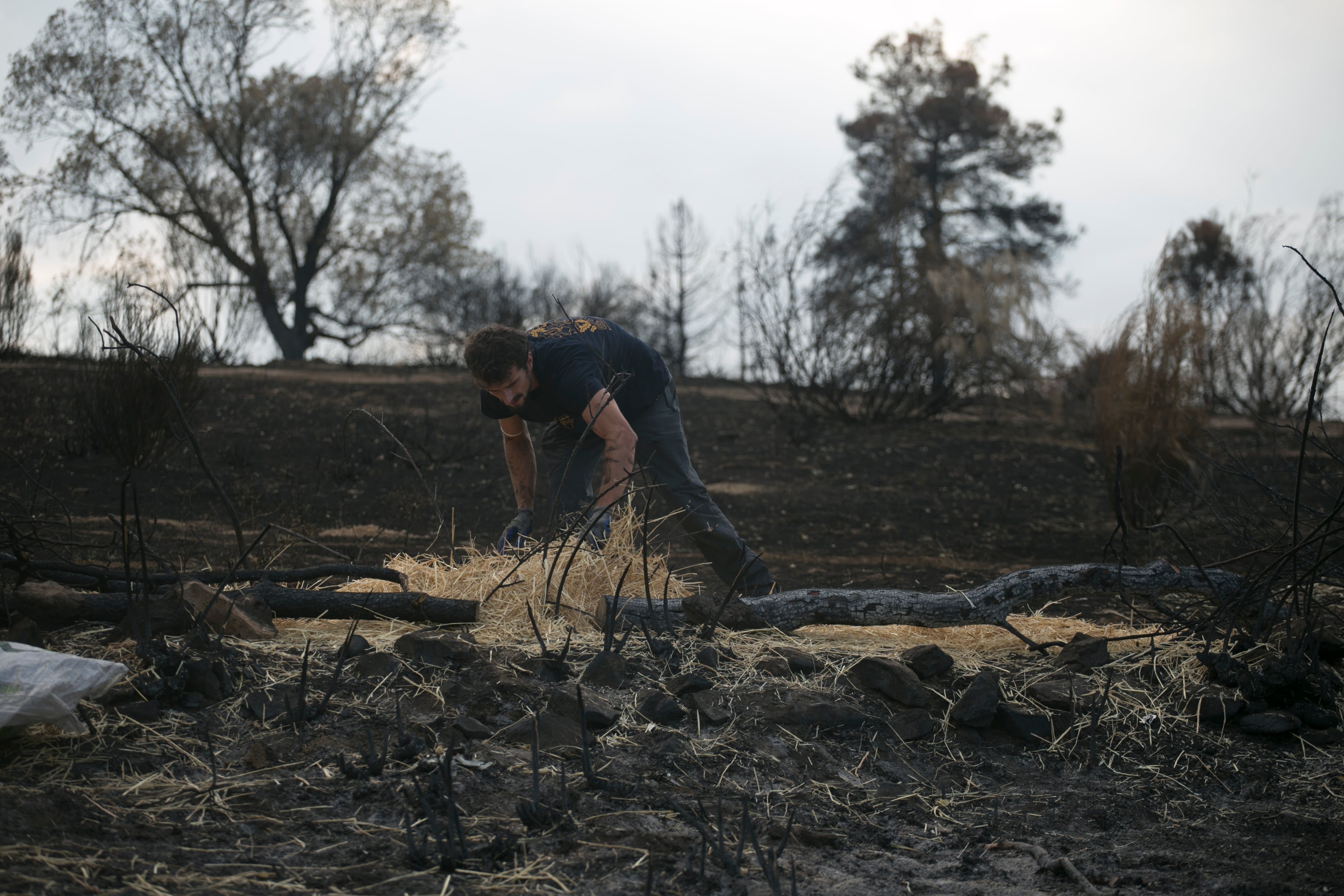 Una carrera contrarreloj para evitar que las cenizas de los incendios contaminen ríos y embalses