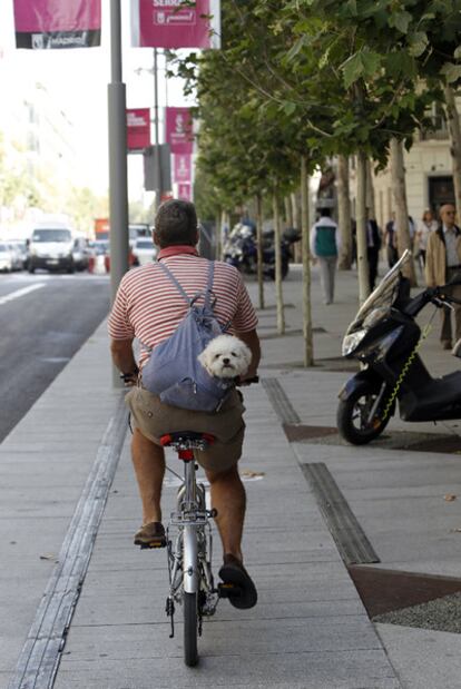 Un ciclista recorre el nuevo carril bici de Serrano con su perro a cuestas.