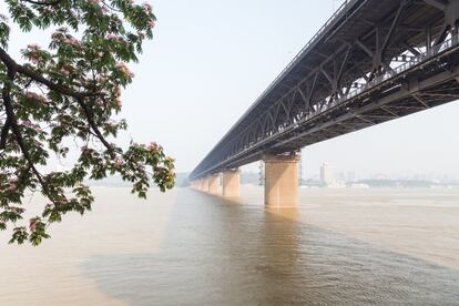 Este puente sobre el río Yangtze es el primero de la ciudad que ahora cuenta con más de una docena y prevé la construcción de nuevos pasos. Tiene dos niveles, el superior para tránsito de vehículos, con dos carriles para cada dirección, y el inferior atravesado por una vía ferroviaria. Su construcción se completó en 1957.