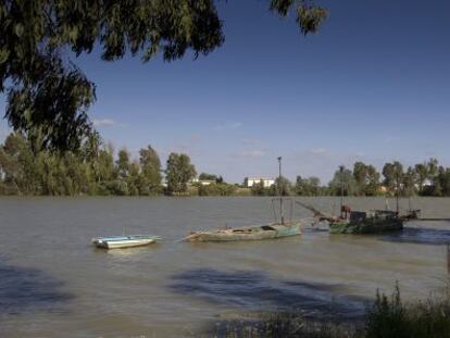 El r&iacute;o Guadalquivir a su paso por Coria. 