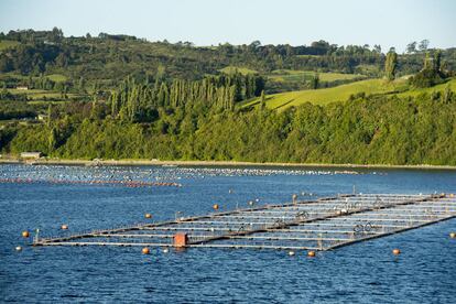 Vista de un centro de cultivo de salmón cerca de la isla de Chiloé en el sur de Chile.
