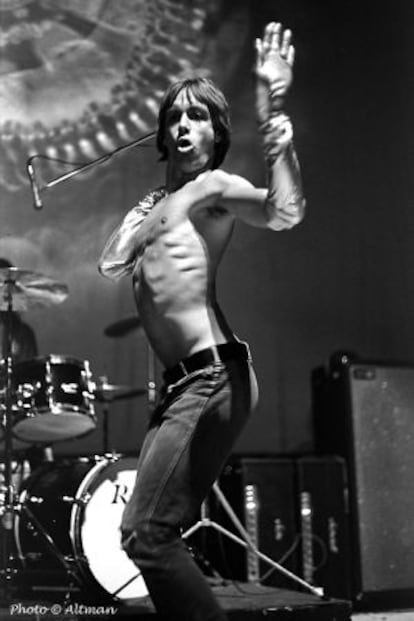 El músico Iggy Pop.