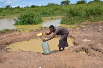 Una mujer colecta agua de una charca formada tras las recientes inundaciones en la región de Albertine, Uganda.