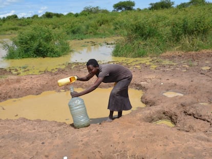 Una mujer colecta agua de una charca formada tras las recientes inundaciones en la región de Albertine, Uganda.