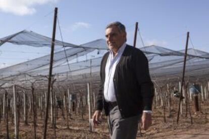 Jose Alberto Zucardi en su viñedo en Mendoza.