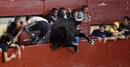 Un toro salta la barrera en los encierros de Leganés de 2008.