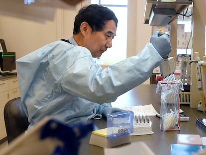 Un microbiólogo realiza una prueba de PCR para la detección del coronavirus.
