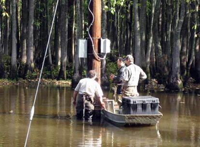 Instalaciones de cámaras en una zona pantanosa de Tejas.