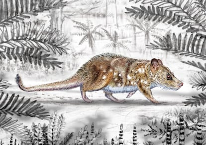 Científicos detectaron los restos de un mamífero prehistórico el ‘Yeutherium pressor’, en la Patagonia chilena.