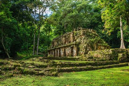 Ruinas de Yaxchilán, descubiertas en 1882 por el arqueólogo británico Alfred Maudslay.